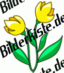 Blumen: Tulpen - zwei gelb (nicht animiert)