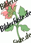 Blumen: Bl�te 2 - rosa 1 (nicht animiert)
