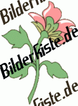 Blumen: Bl�te 2 - rosa 2 (nicht animiert)