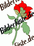 Blumen: Bl�te 2 - rot (nicht animiert)