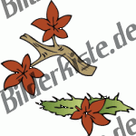 Herbst: Bl�tter - Am Ast