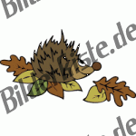 Herbst: Igel auf Bl�ttern