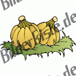 Herbst: K�rbisse - 2