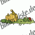 Autumn: pumpkins with chestnuts