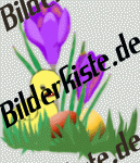 Easter: Crocus- with Easter eggs and chicken (not animated)