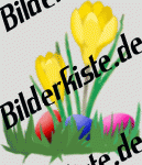 Easter: Crocus- with Easter eggs 1 (not animated)