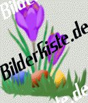 Easter: Crocus- with Easter eggs 2 (not animated)