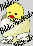 Chickens: Out of the Egg (not animated)