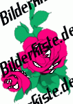 Blumen: Rosen - lila (nicht animiert)