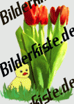 Blumen: Tulpen - Tulpenstrau� mit K�ken 1 (nicht animiert)