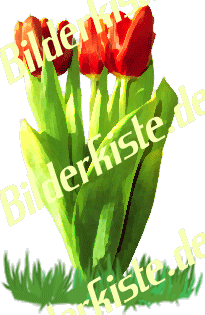 Blumen: Tulpen - Tulpenstrau� (nicht animiert)