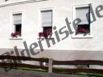 Windows with flower boxes