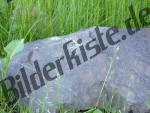 Steinbrocken im Gras