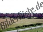 Case per ferie