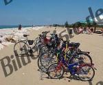 Bicycles standing at the beach