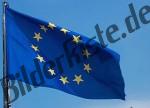 Bandiera dell\'Europa