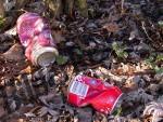 Cans on foliage