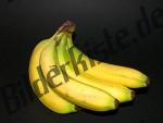 Bilder zum Thema bananen anzeigen