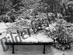 Bench winter totally