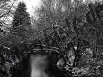 River in the winter with trees aside