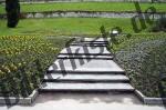 Treppe zwischen Blumenbeet