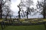 Trees and flowerbed