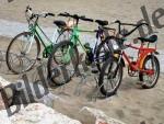 Bicycle stand at the beach