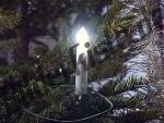 Elektrische Kerze im Weihnachtsbaum