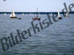 Sailboats on a lake