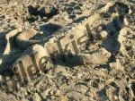 Coccodrillo di sabbia