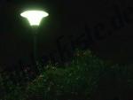 Lampe bei Nacht