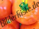 Tomaten 