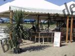 Beach bar with palms