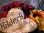 Bilder zum Thema decorazioni da tavolo anzeigen