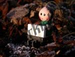 Bilder zum Thema schlitten anzeigen