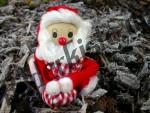 Christmas decoration Santa Claus