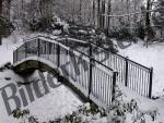 Bridge covered with snow