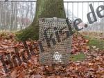 Dustbin infront of a tree