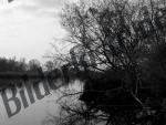 Panorama del lago in bianco e nero