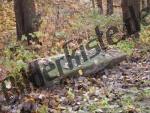 Bench covered with leaves