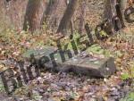 Bench covered with leaves