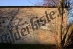 Graffiti on a wall with tree aside