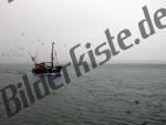 Fischerboot 