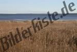 Bucht mit hohem Gras