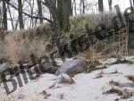 Steine am Strand