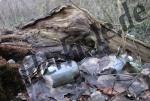 Garbage beneath a tree