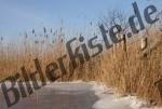 Bilder zum Thema riva del lago anzeigen
