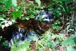 Cascata d\'acqua nel bosco