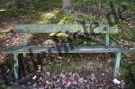 Bench covered with moss