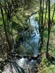 River with meadow and trees aside